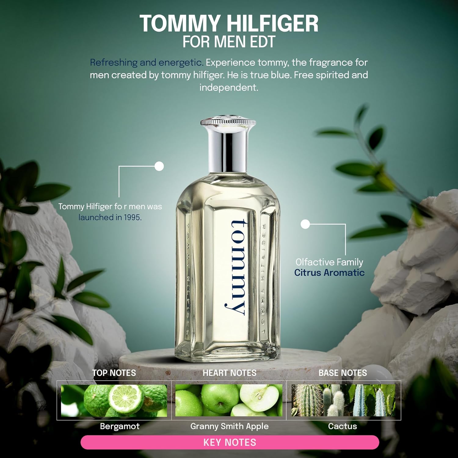 Tommy Hilfiger Men Eau De Toilette Spray 30ml