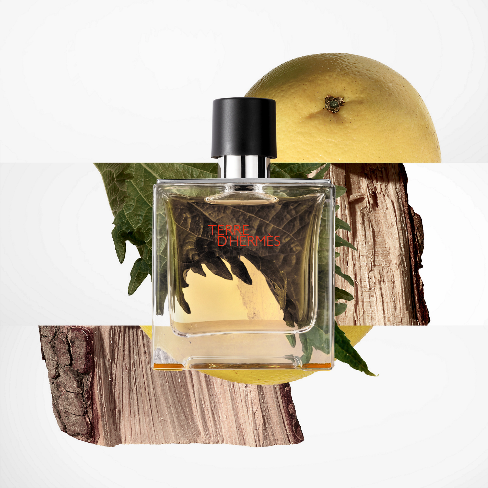Hermes Terre D'hermes Eau De Toilette Spray 100ml