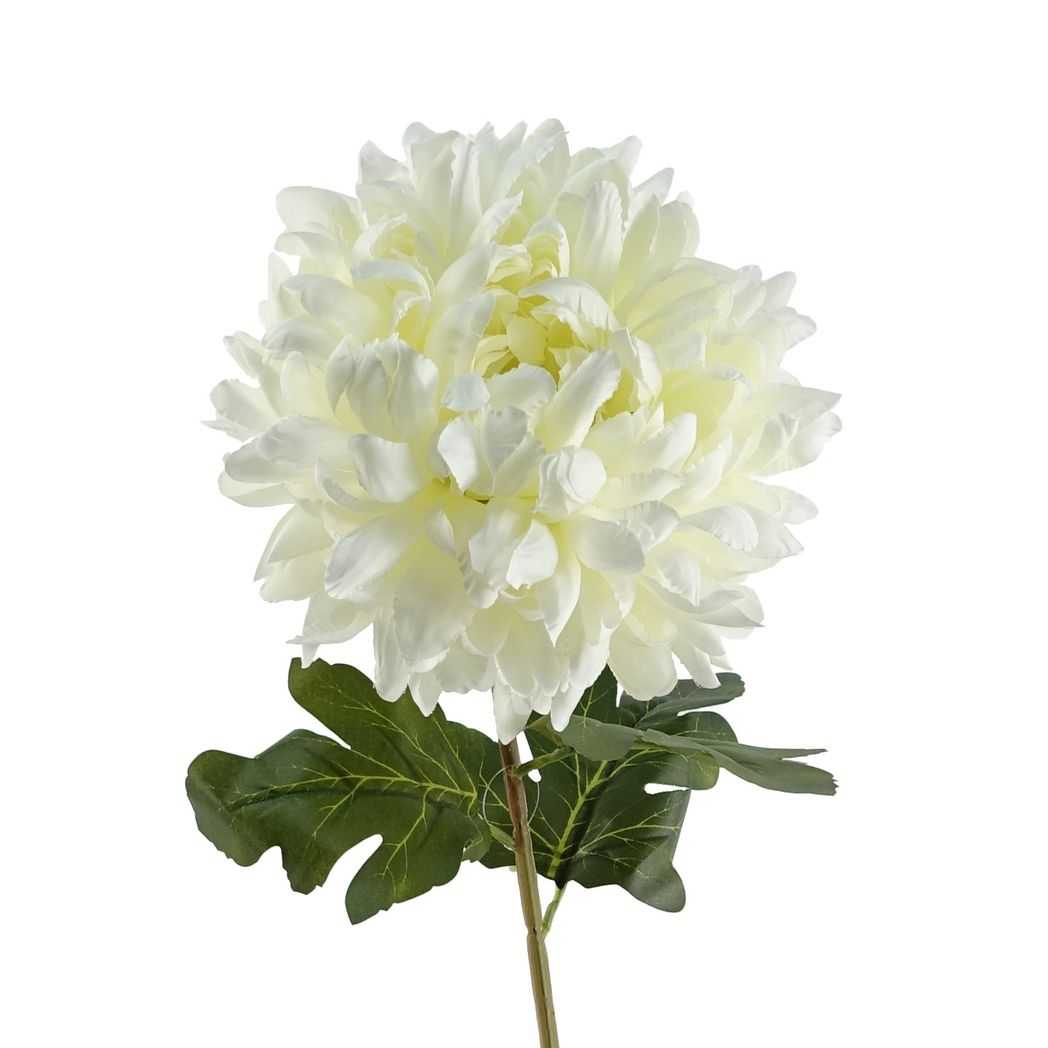Pack of 6 x 75cm Extra Large Reflex Chrysanthemum - White