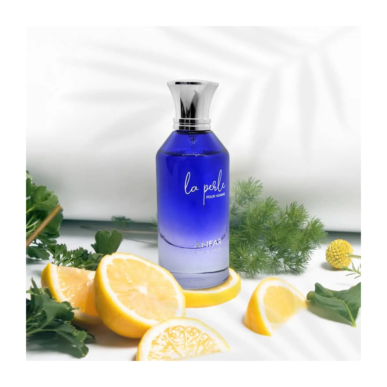 La Parle Pour Homme EDP (100ml)
