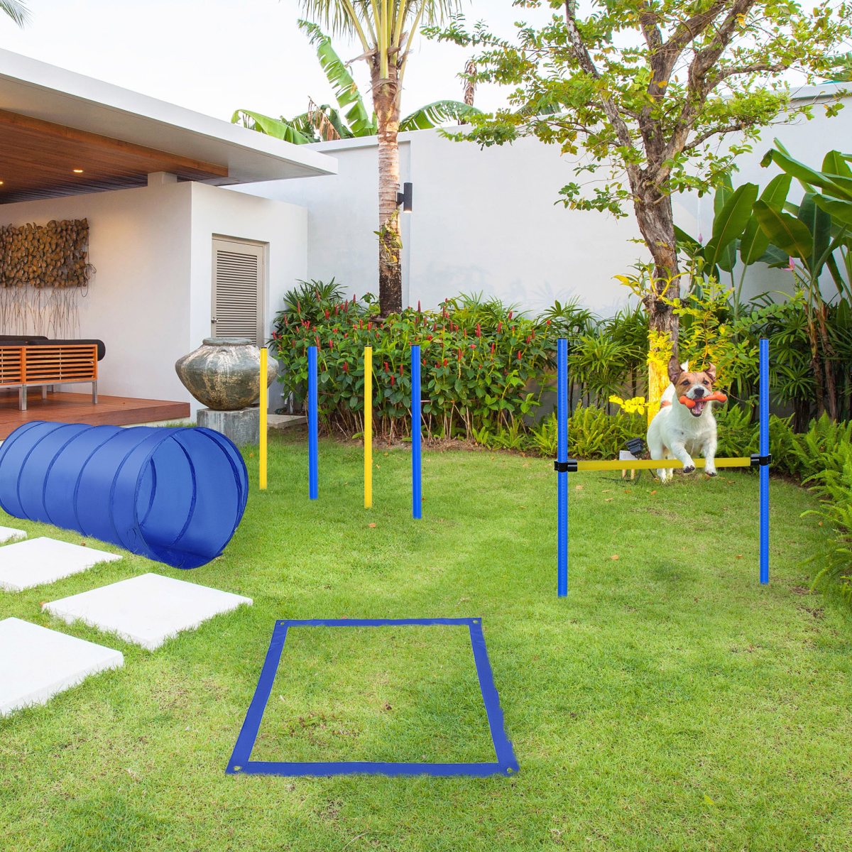 Pet Agility Training Equipment Dog Play Run Jump (Poles + Hurdle + Tunnel +