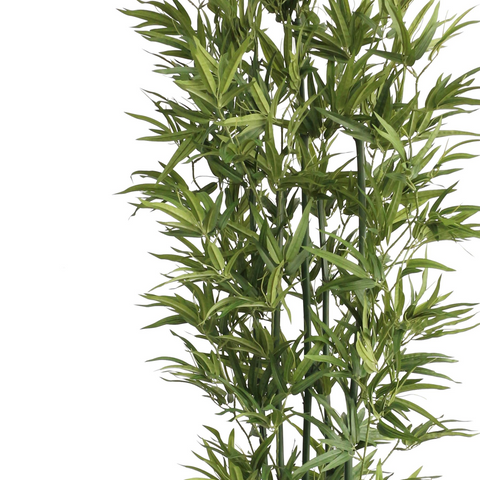 180cm Natural Green Bamboo Artificial