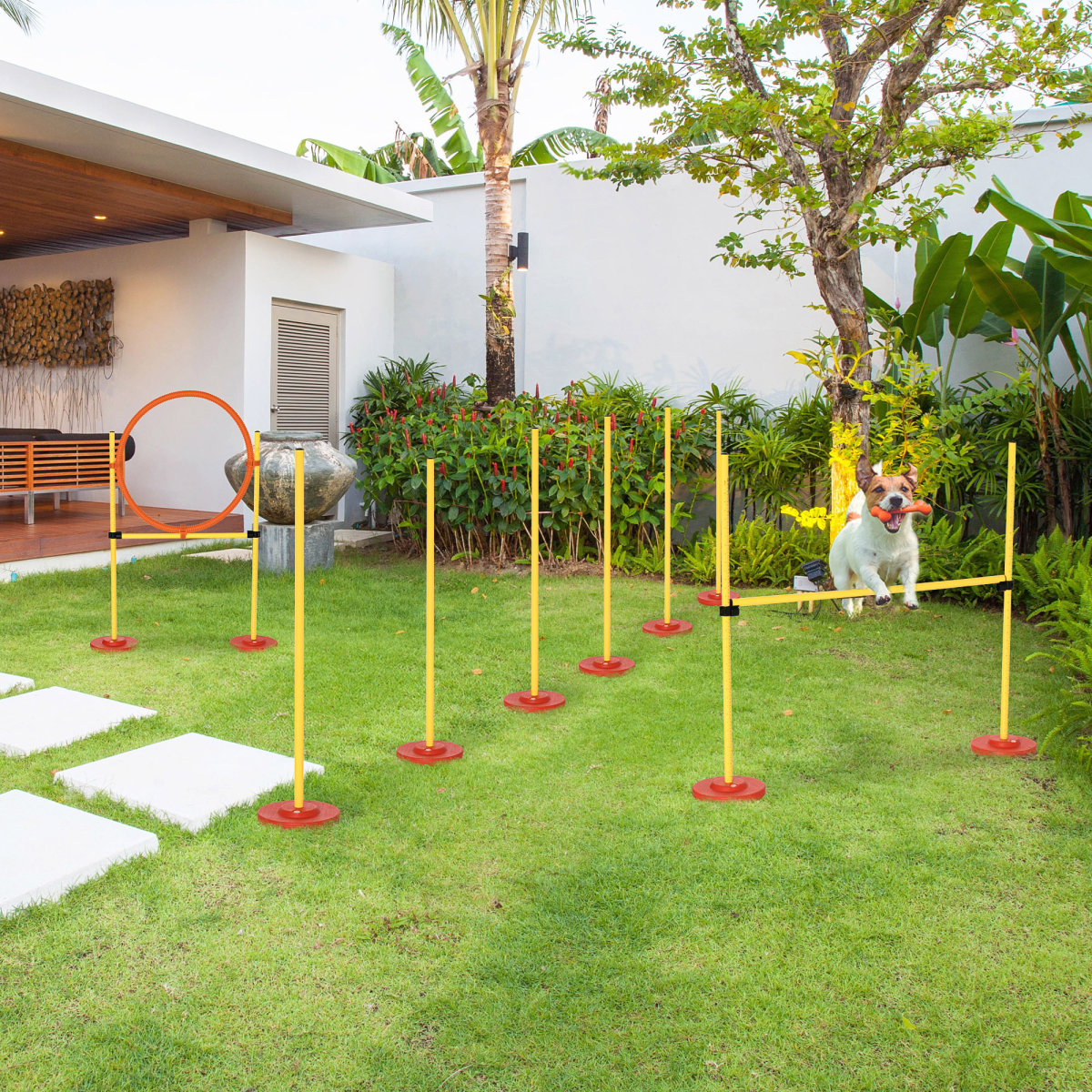 Portable Pet Agility Training Obstacle Set for Jumping Pole,Ring,Turnstile poles