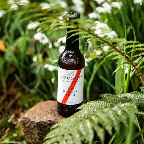 Hot Ginger Beer 270ml - Organic - Luscombe