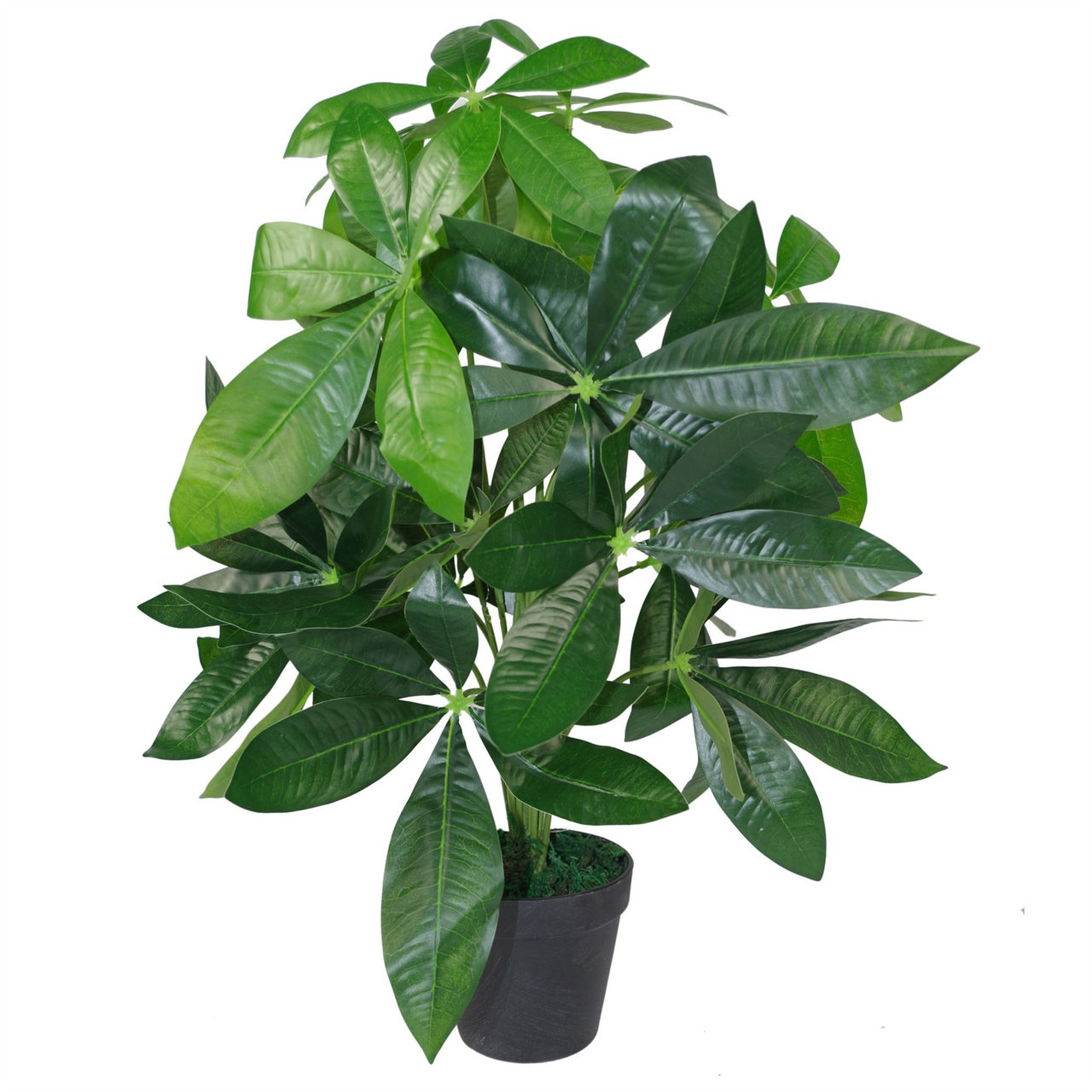 50cm Artificial Money Tree Plant