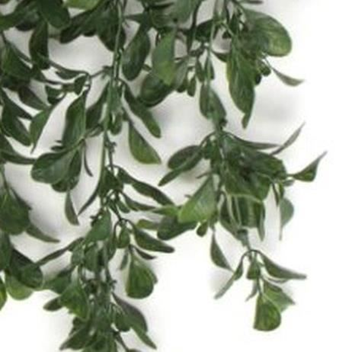 Pack of 6 x Hanging UV and Fire Resistant Artificial Peperomia Plant 68cm