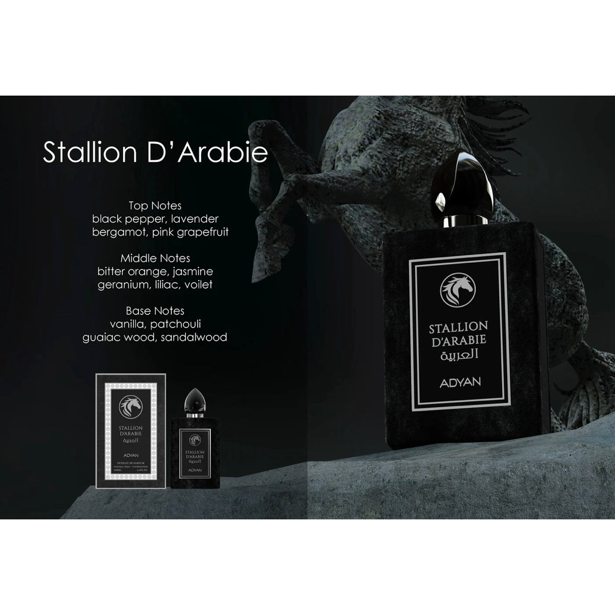 Stallion D’Arabie by Adyan – Extrait de Parfum (100ml)