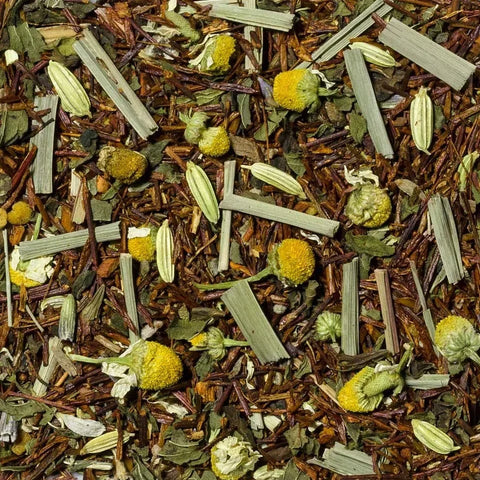 OSLO - Rooibos tea
