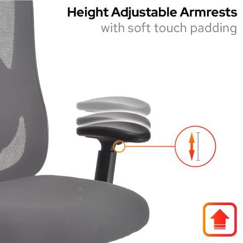Office Hippo Ergonomic Mesh Office Desk Chair, Adjustable Arms, Swivel Chair with 2D Adjustable Lumbar Support, Headrest & Tension Control
