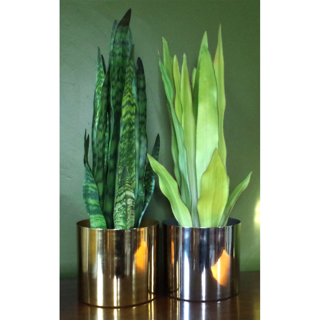 70cm Artificial Sansevieria Zeylanica Plant