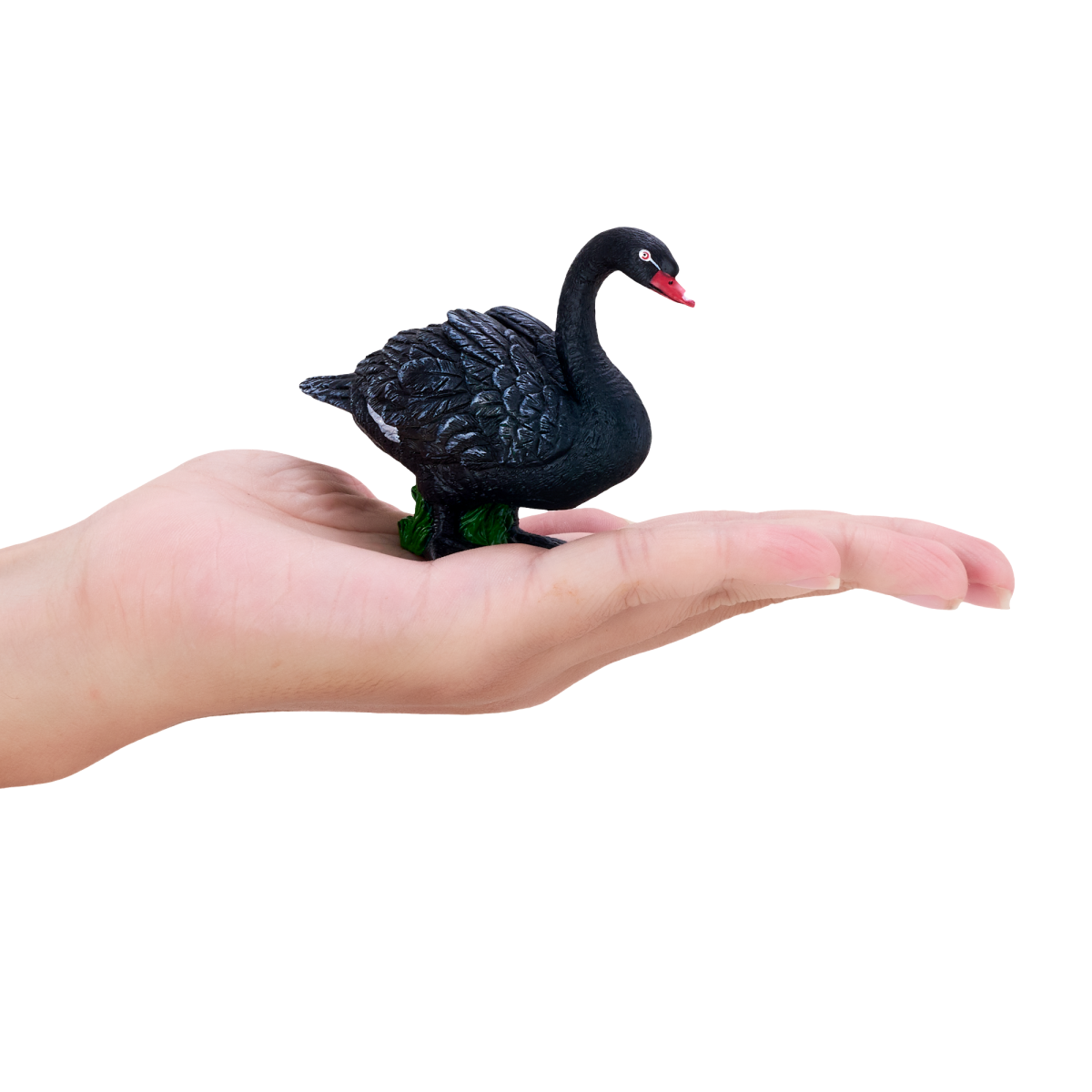 Black Swan Toy  Realistic Water Bird Model