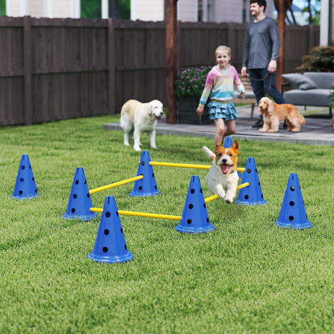 Dog Agility Equipment Set of Eight Cones