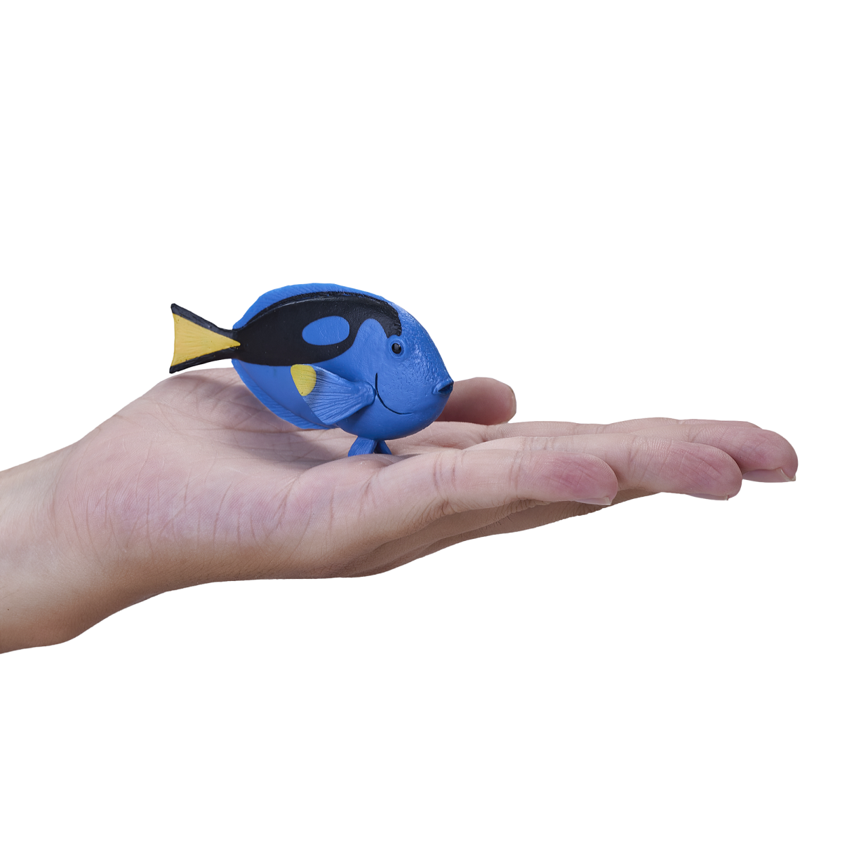 Blue Tang Fish Toy  Realistic Ocean Animal Figurine