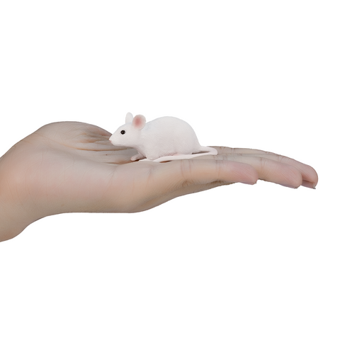 Mouse Toy  Realistic Small Animal Figurine