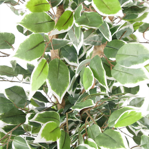 130cm Variegated White/Green Bushy Ficus Tree Copper Metal Planter