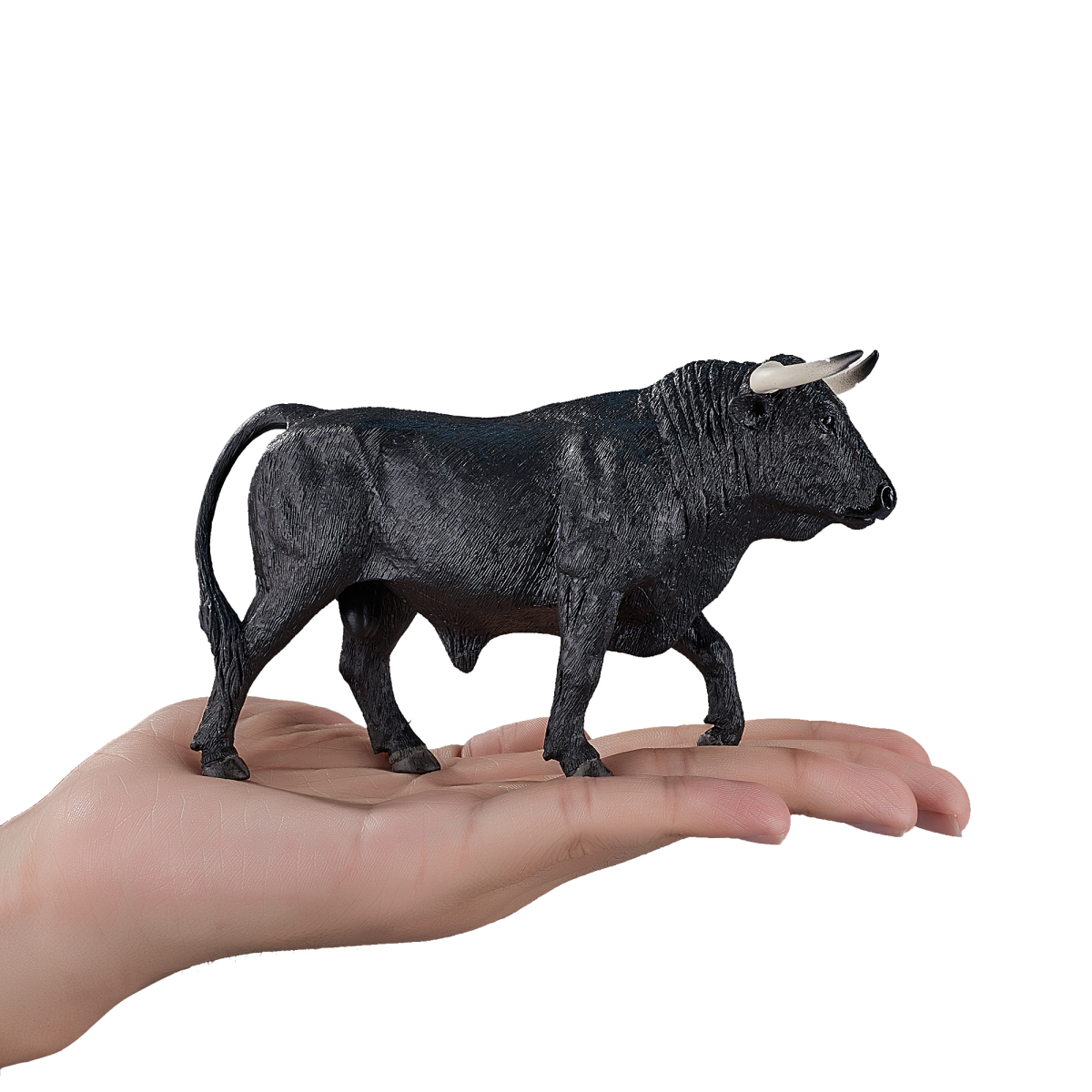 Spanish Bull Toy Figure  Realistic Farm Animal Model