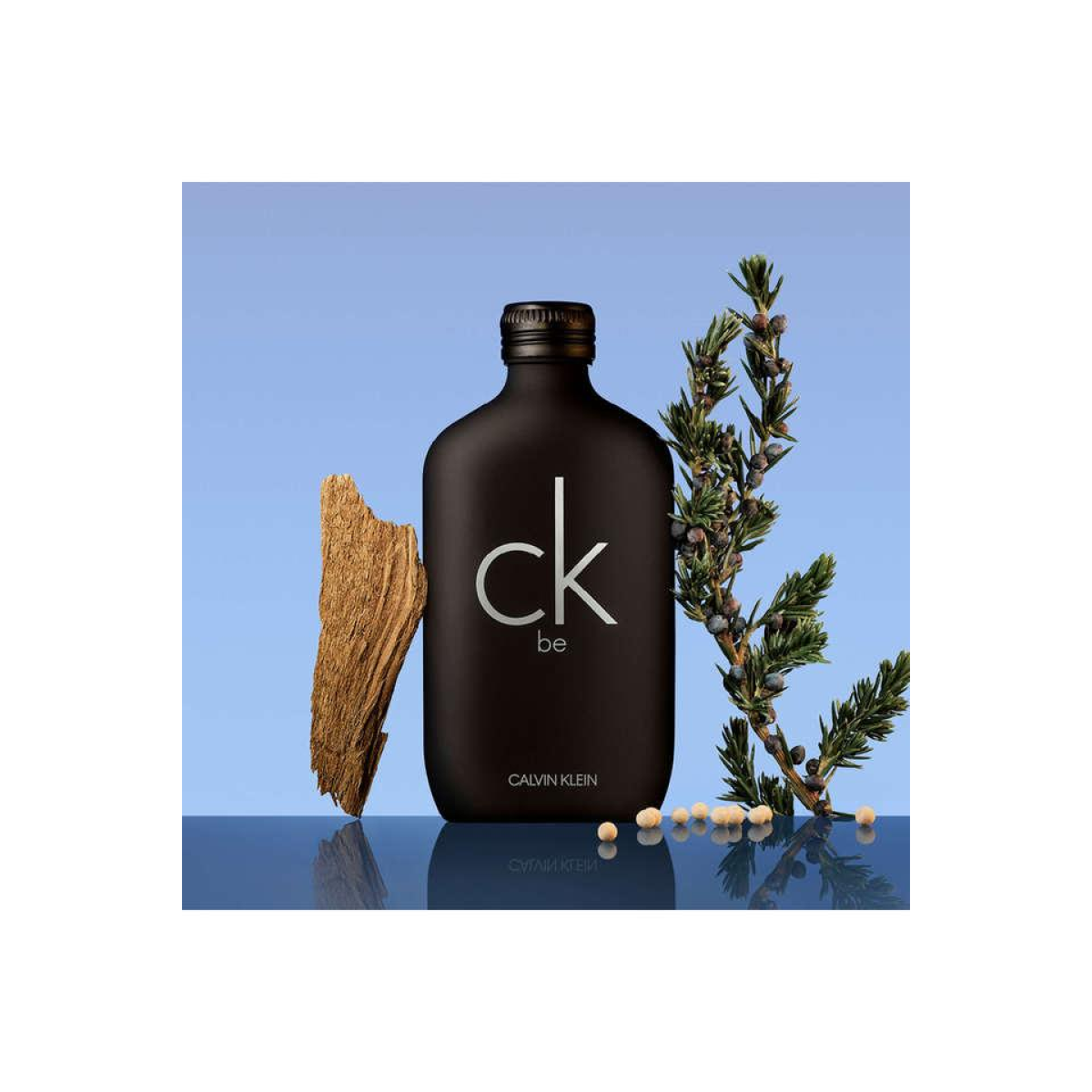 Calvin Klein CK BE Eau De Toilette Spray 200ml