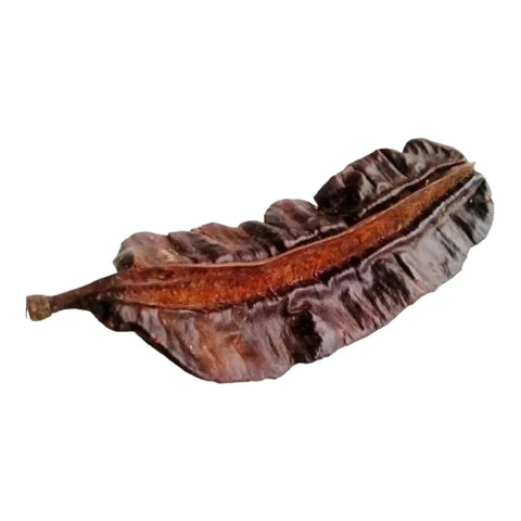 5 Fresh Ghana PREKESE PODS (Tetrapleura Tetraptera,Uhio,Aidan,Uyayak,Oshosho) UK