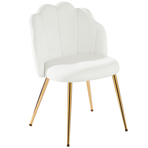 Eufurnibi Velvet Shell Chair with Gold Legs, Vanity Chair for Bedroom Dressing Table, White Upholstered Accent Chair for Living Room