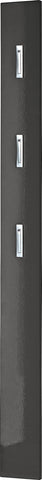 Germania wardrobe panel 3255-547, with THREE fold-out metal clothes hooks, in high-gloss anthracite, 15 x 170 x 3 cm (WxHxD)
