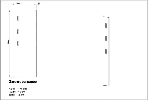 Germania wardrobe panel 3255-547, with THREE fold-out metal clothes hooks, in high-gloss anthracite, 15 x 170 x 3 cm (WxHxD)