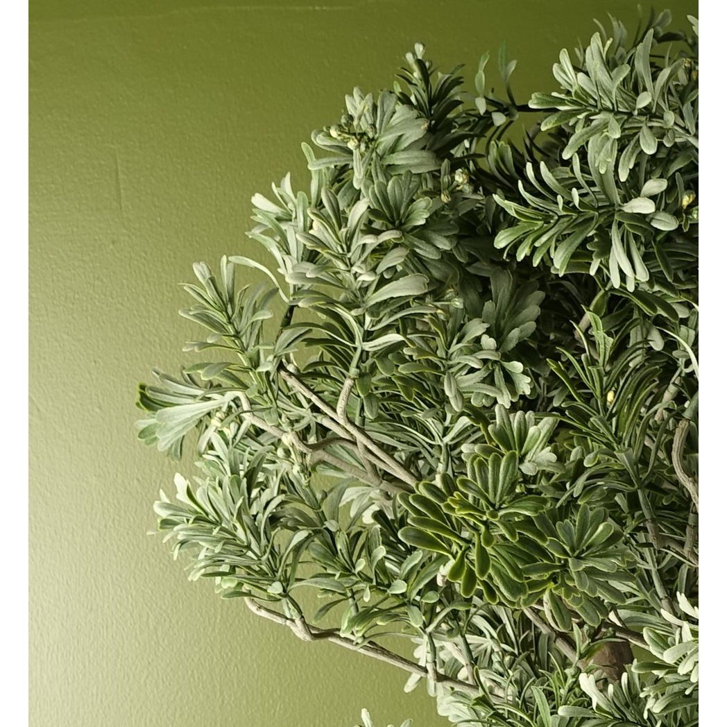 Artificial Artemisa Evergreen Shrub Plant