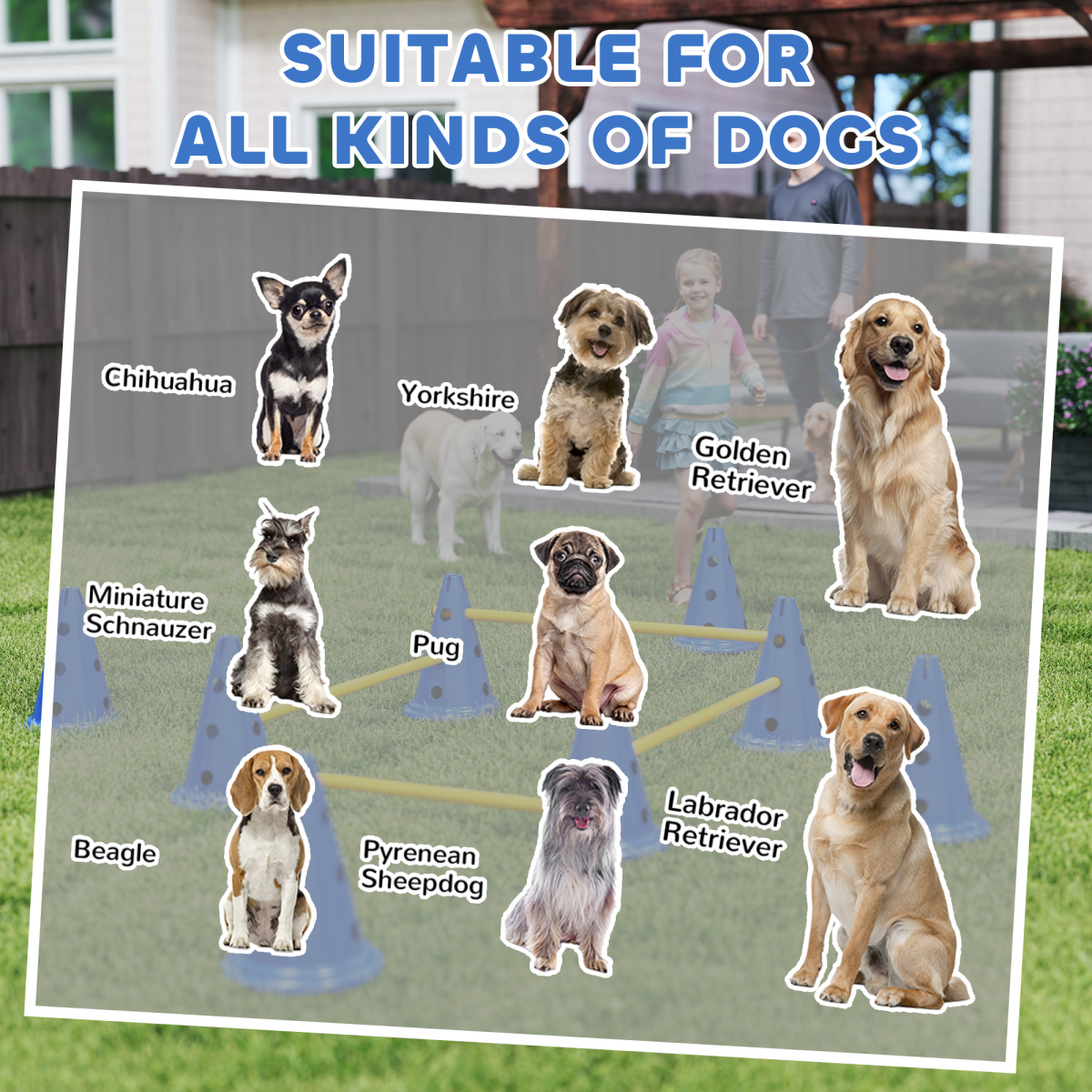 Dog Agility Equipment Set of Eight Cones