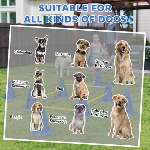 Dog Agility Equipment Set of Eight Cones