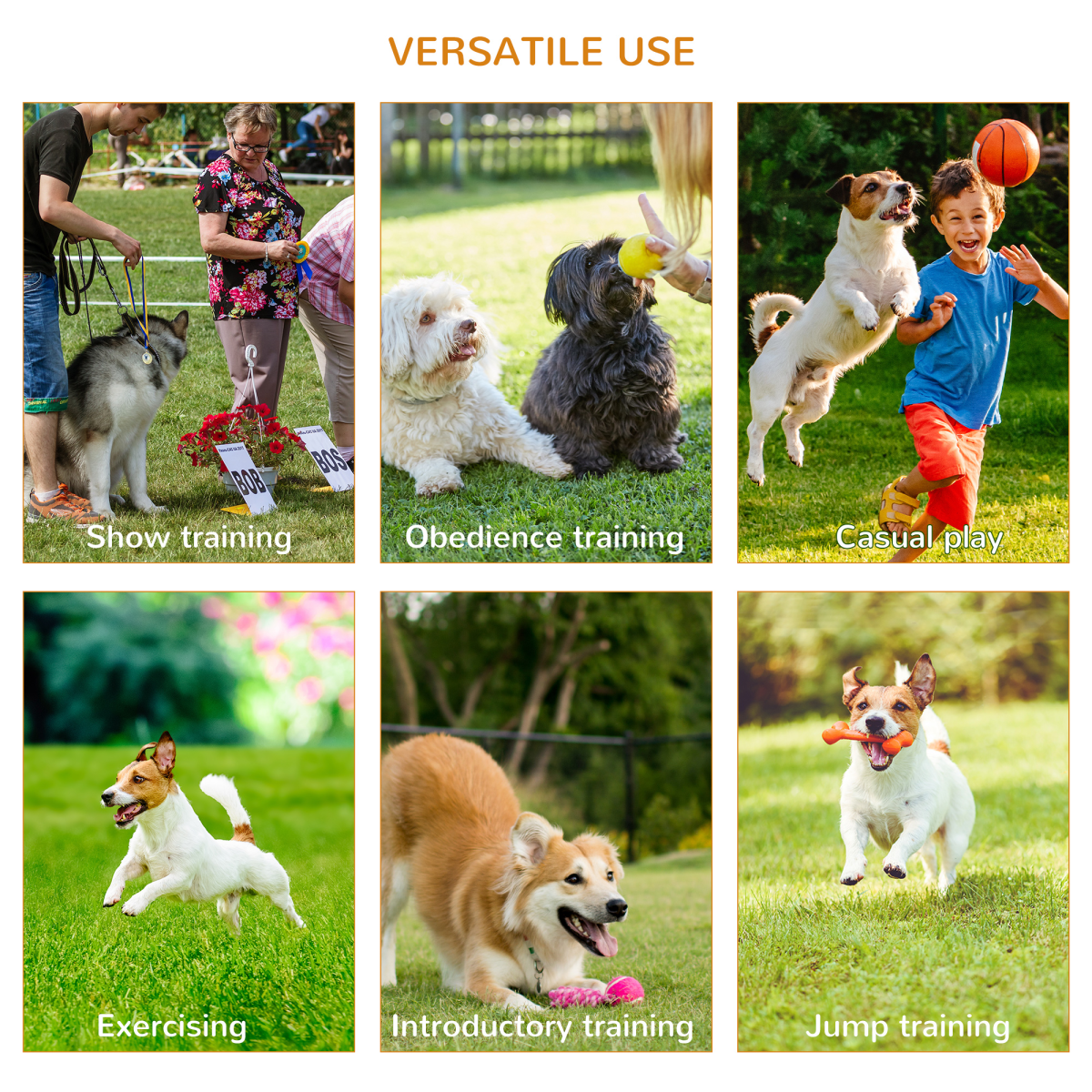 Outdoor 4 PCs Dog Pet Agility Training Equipment Backyard Starter Course Set