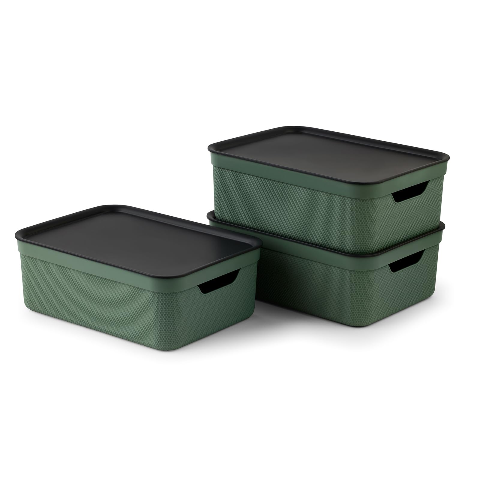 Rotho Jive Dekobox Set of 3 storage box 10l with lid, Plastic (PP recycled), 10l (37.5 x 27.8 x 13.5 cm), Green