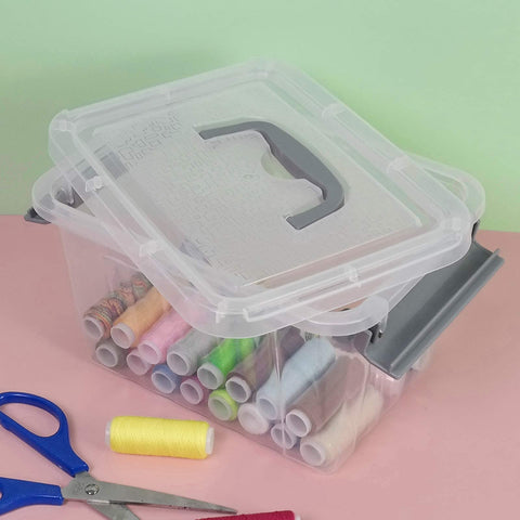 Joyeen Plastic Small Boxes, Clear Storage Boxes with Lids Set of 6