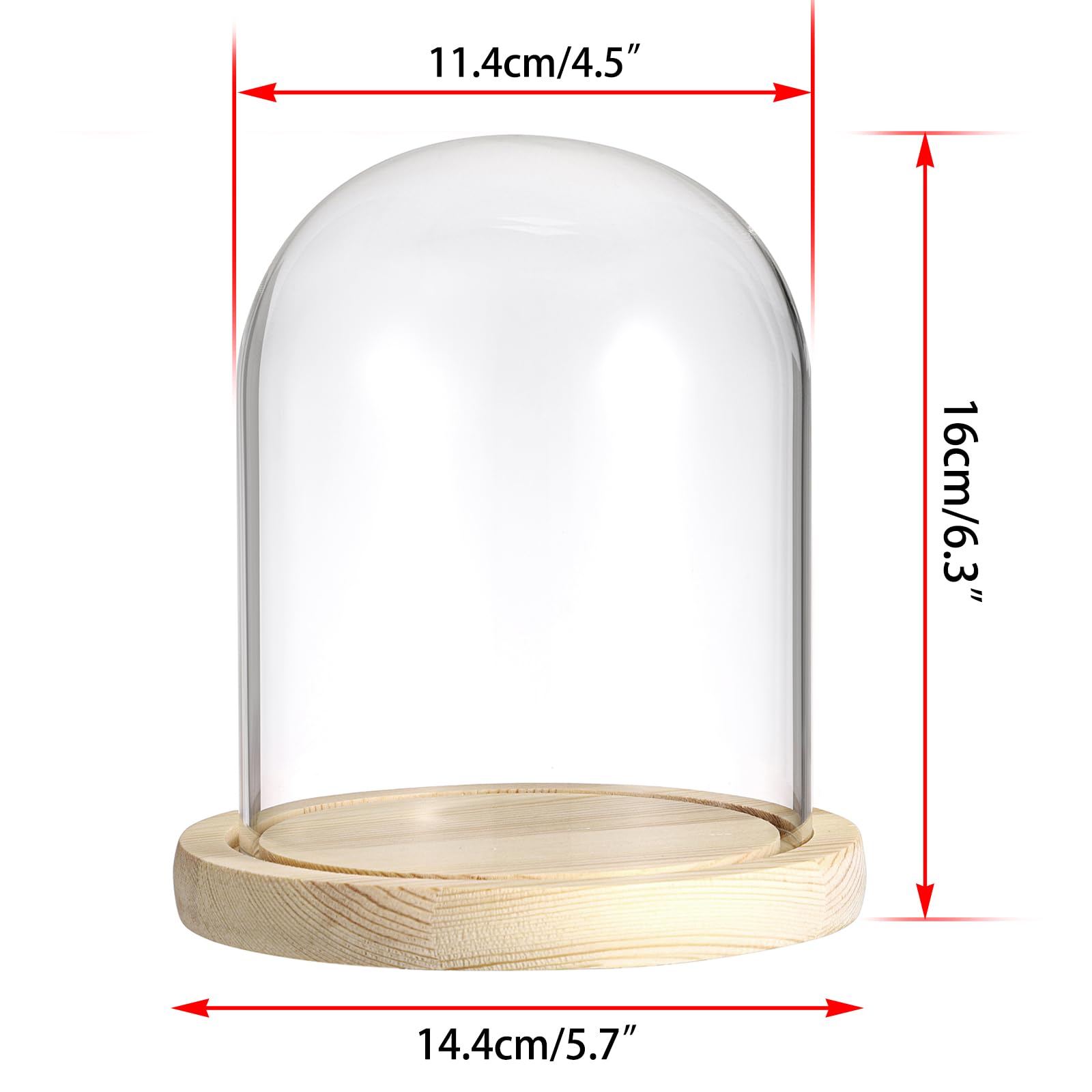 SUMNACON Glass Display Cloche Dome with Solid Wooden Base, 11.4*15cm