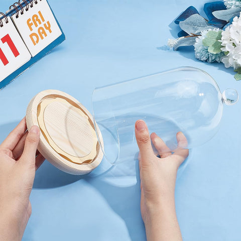 BENECREAT 14x21.5cm Glass Display Dome Inch Cloche Dome with Base Clear Dustproof Dome with Handle Bell Jar Centerpiece Display Case for Specimens