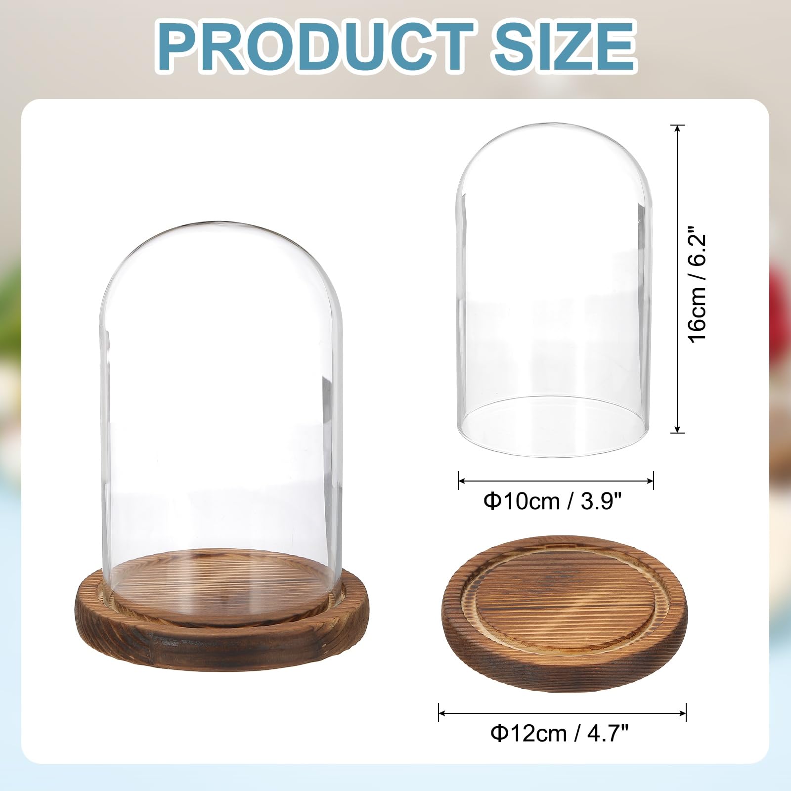 sourcing map Glass Cloche Display Dome, 6.2" x 3.9" Glass Dome Display Case Wood Base Tabletop Jar Case Decorative Bell Jar for Plant Home Decor