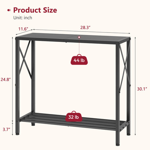 Tajsoon Small Entryway Table, 2-Tier Narrow Consle Table for Entryway, Small Hallway Table with Storage Shelves, Thin Sofa Table for Hallway