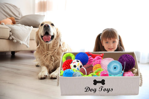 Geyecete Large Dog Toy Basket, Foldable Trapezoid Storage Bin with Handle