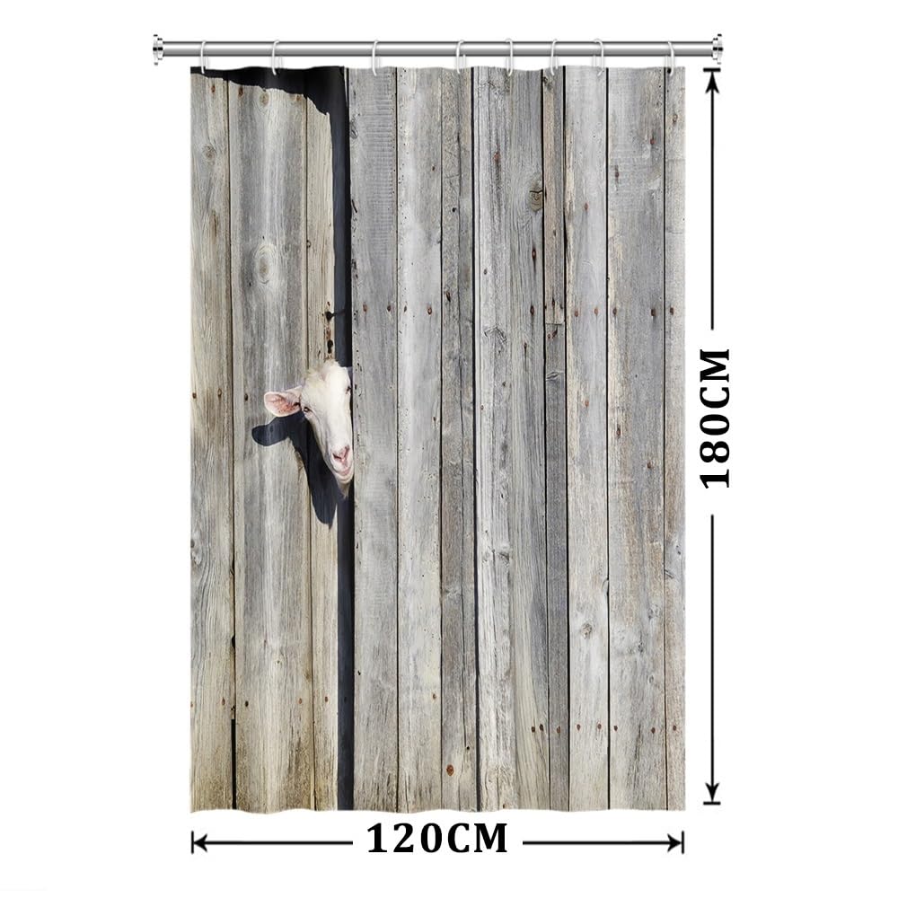 Xiaoterna Rustic Shower Curtain Farm Animal Bathroom Curtain Rustic Wooden Door Cute Sheep in Rustic Wooden Cottage Farmland Waterproof Mildew