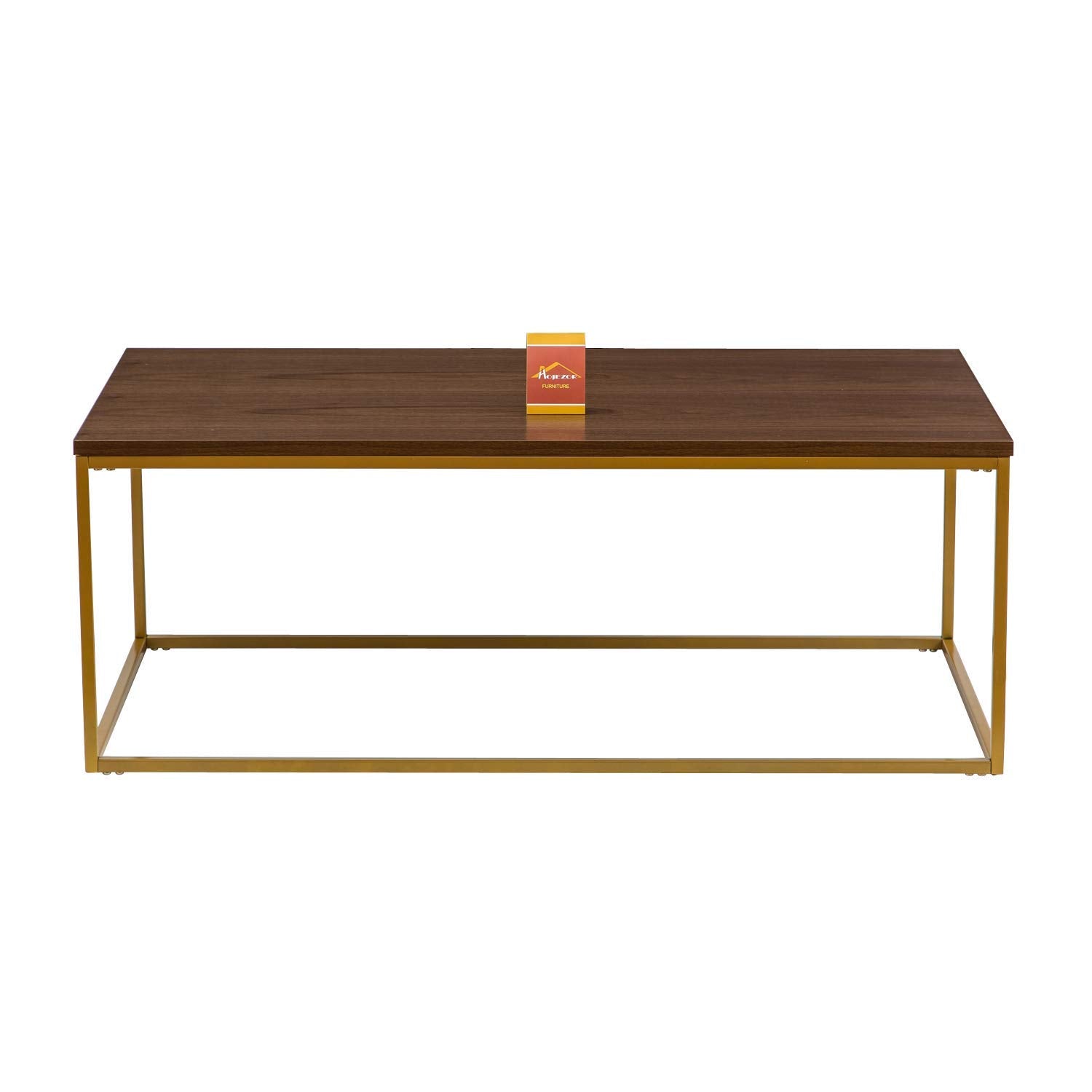 ASPECT Regis Coffee Table/Side Table (Walnut/Gold, 110x60x41(H) cm), CFT49WN/G