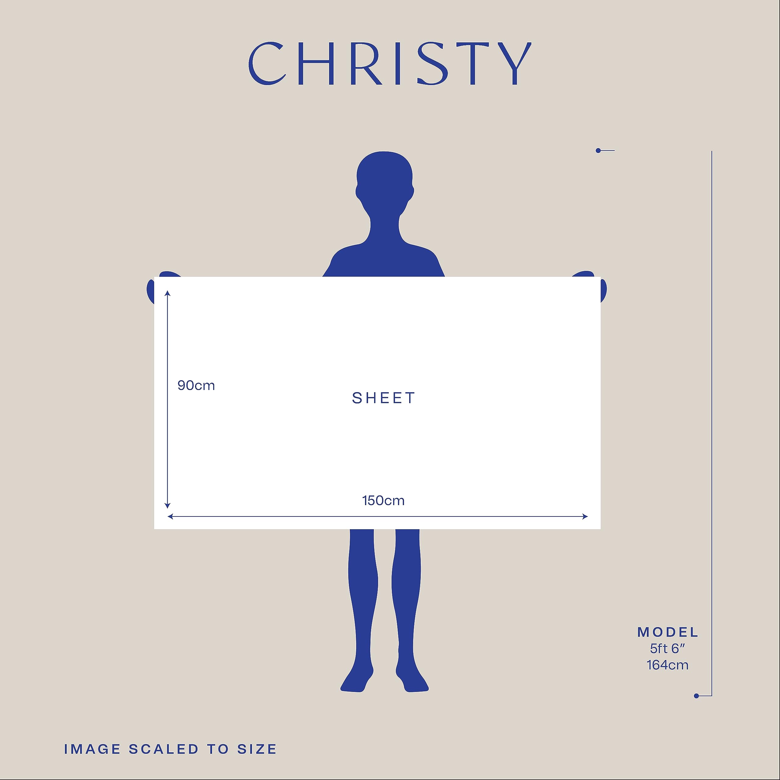Christy Antalya Large Bath Sheets | Set of 2 | 100% Turkish Cotton | 600GSM | Soft Plush Luxury Bath Towels | 90cm x 150cm | Quick Dry | Lunar Grey