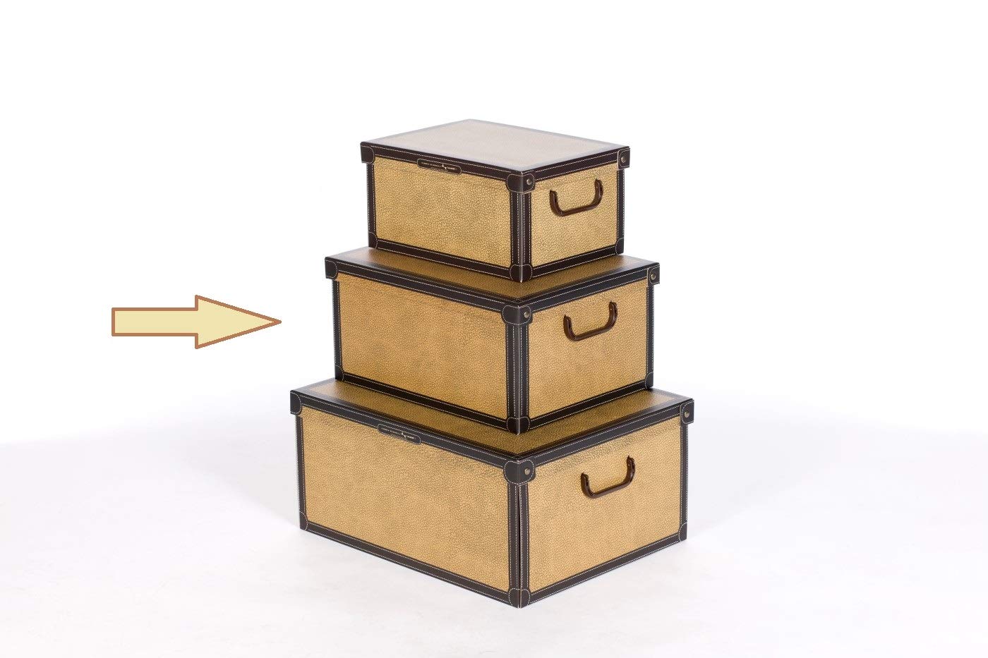 Lavatelli Cardboard Storage Boxes with Lid Tapirus 32x42x21cm Home Storage