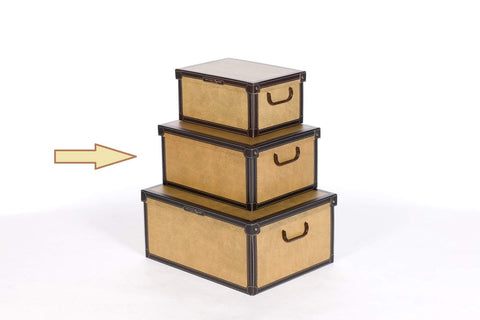 Lavatelli Cardboard Storage Boxes with Lid Tapirus 32x42x21cm Home Storage