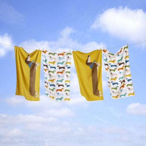 Rapport Coloured Sausage Dog Dachshund Supersoft 100% Cotton Towel, Multi, 70 x 120 cm
