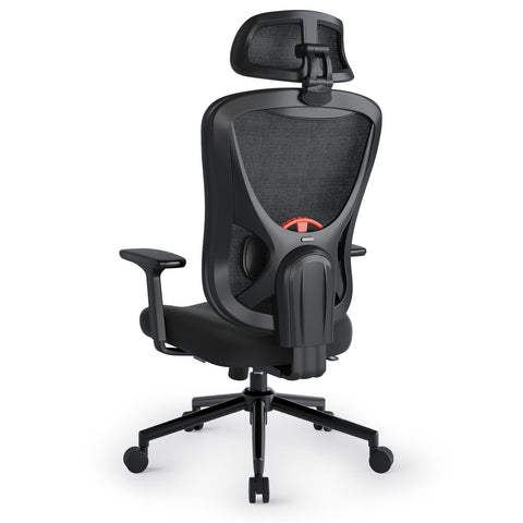Eucladoceros Ergonomic Office Chair - Lift Up Mesh Backrest, 330lbs, Black