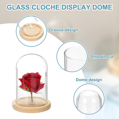 sourcing map Glass Cloche Display Dome, 6.2" x 3.9" Glass Dome Display Case Wood Base Tabletop Jar Case Decorative Bell Jar for Plant Home Decor