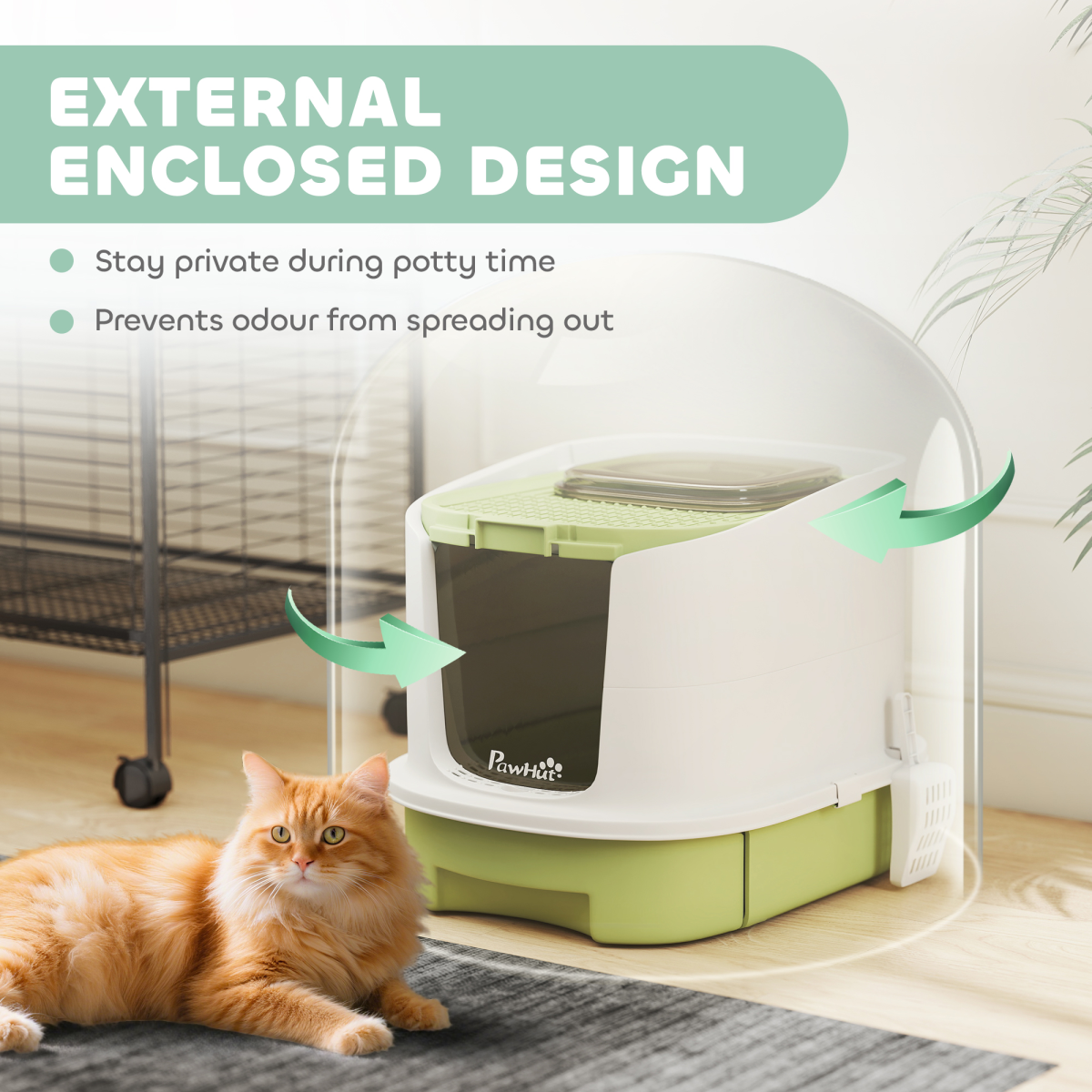 Cat Litter Box