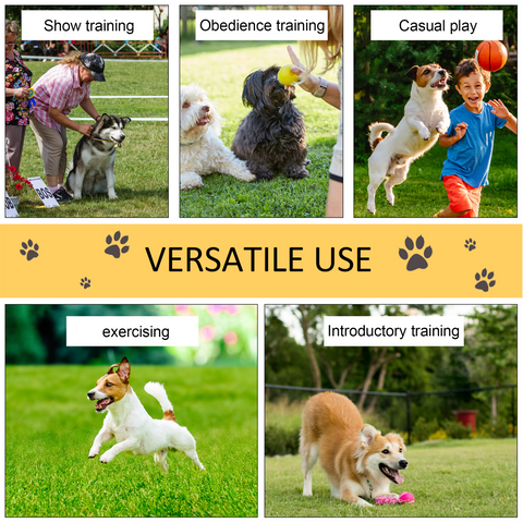 Pet Agility Set Training Play Kit Dog Hoop Poles Tunnel Obedience Equipment