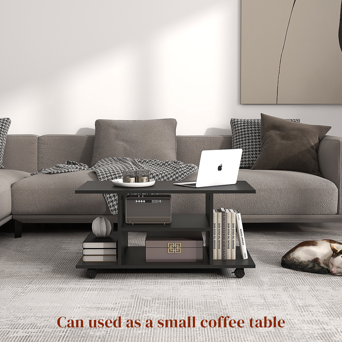 Mobile TV Stand Bookshelves in Black