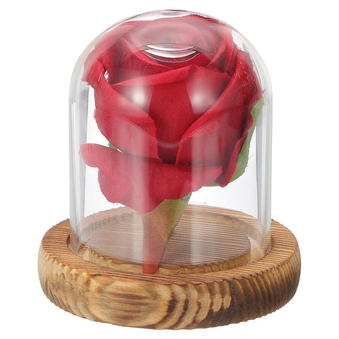 sourcing map Glass Cloche Display Dome, 3.1" x 2.5" Glass Dome Display Case Wood Base Tabletop Jar Case Decorative Bell Jar for Plant Home Decor