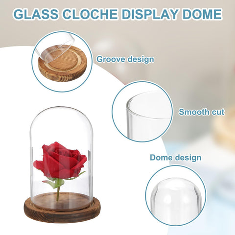 sourcing map Glass Cloche Display Dome, 6.2" x 3.9" Glass Dome Display Case Wood Base Tabletop Jar Case Decorative Bell Jar for Plant Home Decor