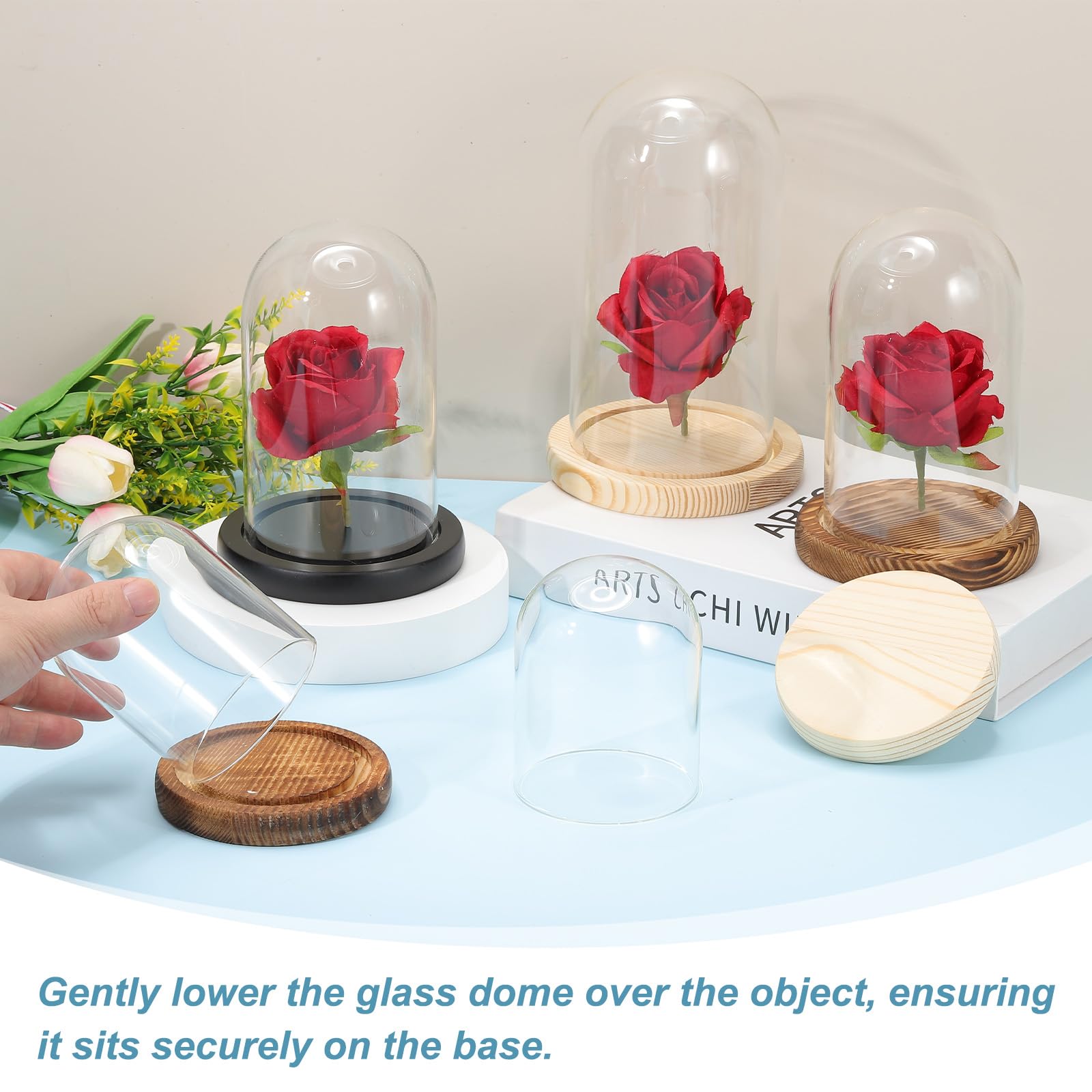sourcing map Glass Cloche Display Dome, 3.1" x 2.5" Glass Dome Display Case Wood Base Tabletop Jar Case Decorative Bell Jar for Plant Home Decor